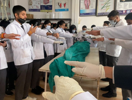 Dissection